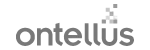 Ontellus AI Strategy